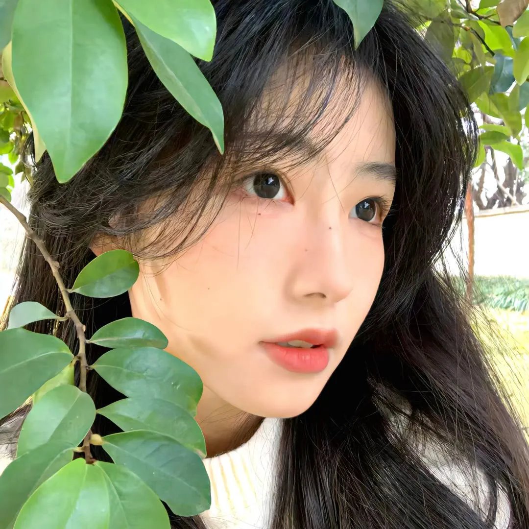 草地上的午餐